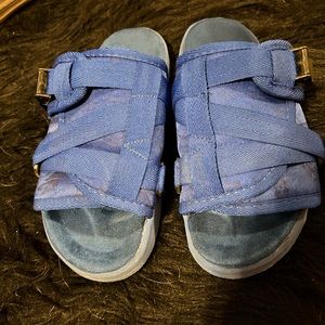 Blue Draco slides